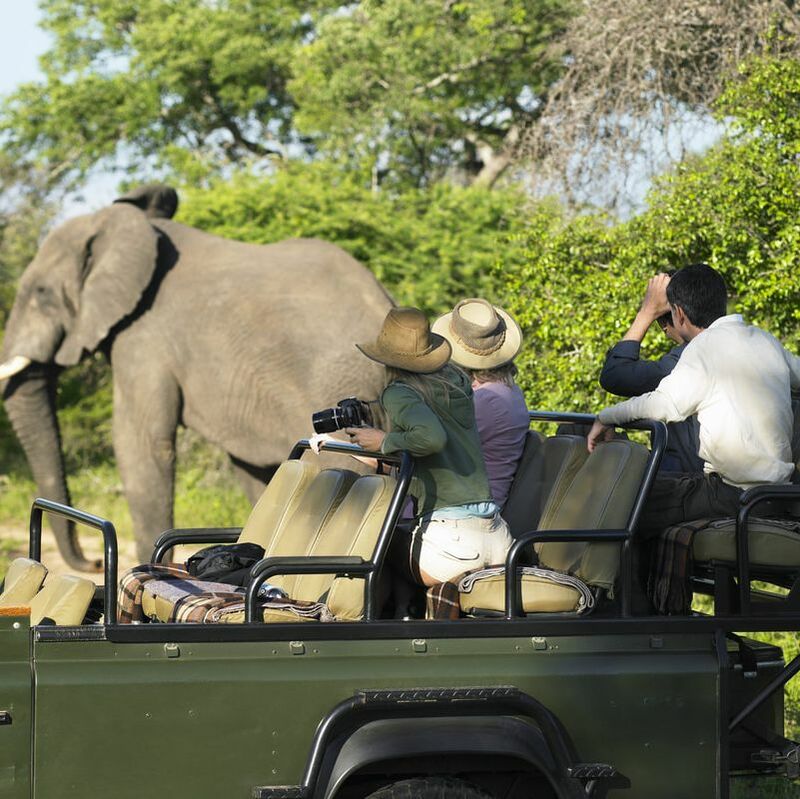 family taking photos of elephant on a safari